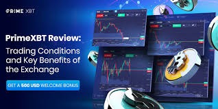 Maximize Your Profits A Deep Dive into Trading on PrimeXBT Maximize Your Profits A Deep Dive into Trading on PrimeXBT